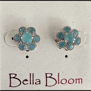 Swarovski Crystals set in Sterling Silver Earrings